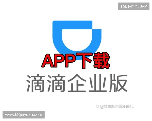 选择k8娱乐app下载,开启无限畅玩的游戏新天地